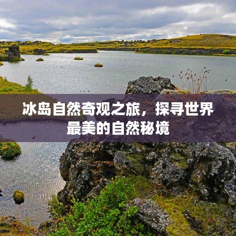 毛手毛脚 第4页