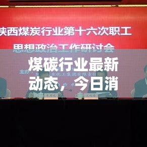 煤碳行业最新动态，今日消息新闻全解析