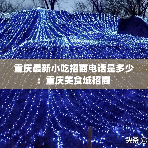 重庆最新小吃招商电话是多少:重庆美食城招商