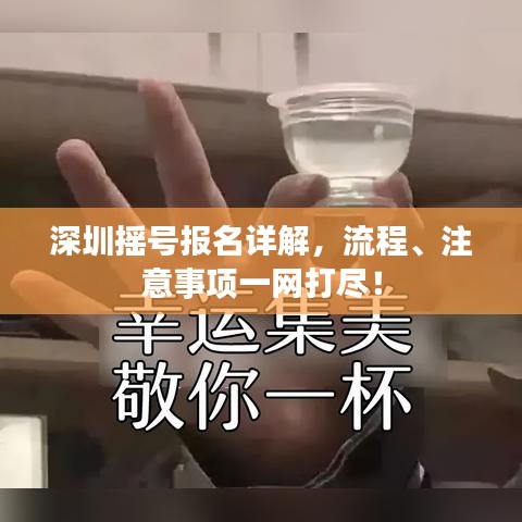深圳摇号报名详解，流程、注意事项一网打尽！