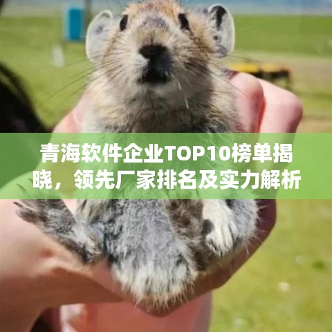 青海软件企业TOP10榜单揭晓，领先厂家排名及实力解析