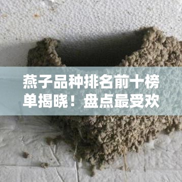 燕子品种排名前十榜单揭晓！盘点最受欢迎的燕子品种