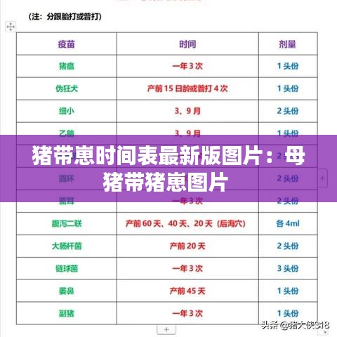 猪带崽时间表最新版图片：母猪带猪崽图片 