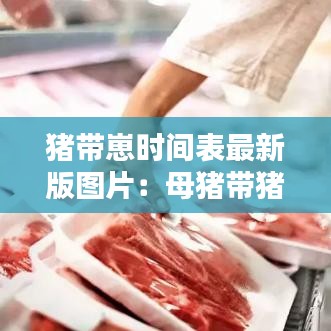 猪带崽时间表最新版图片:母猪带猪崽图片