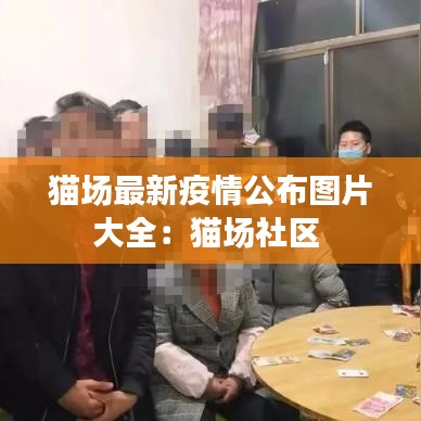 猫场最新疫情公布图片大全：猫场社区 