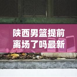 合作伙伴 第231页