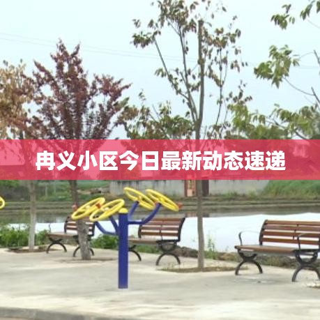 冉义小区今日最新动态速递