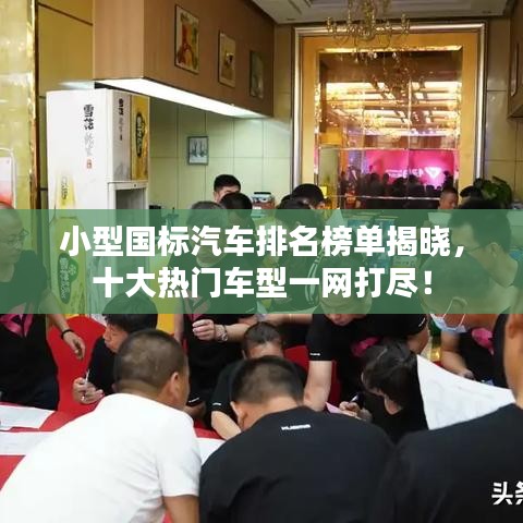 小型国标汽车排名榜单揭晓，十大热门车型一网打尽！