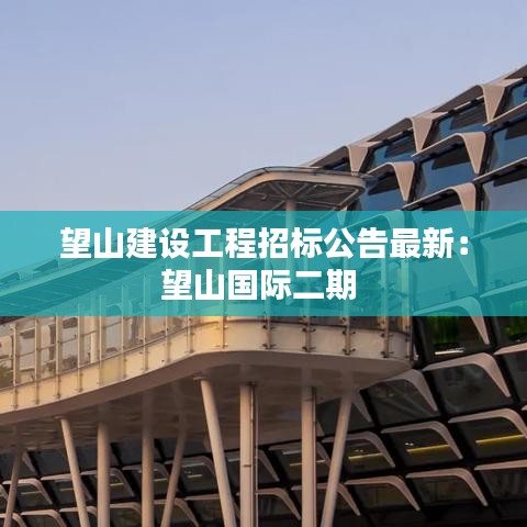 望山建设工程招标公告最新:望山国际二期