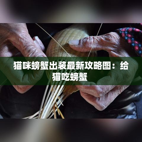 猫咪螃蟹出装最新攻略图：给猫吃螃蟹 