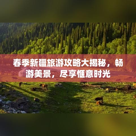 春季新疆旅游攻略大揭秘,畅游美景,尽享惬意时光