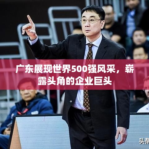 广东展现世界500强风采，崭露头角的企业巨头