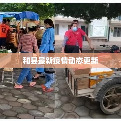 和县最新疫情动态更新