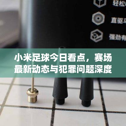 小米足球今日看点，赛场最新动态与犯罪问题深度探讨