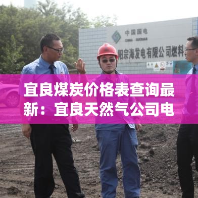 宜良煤炭价格表查询最新：宜良天然气公司电话号码 