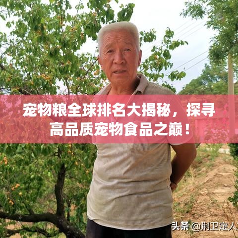 宠物粮全球排名大揭秘,探寻高品质宠物食品之巅!
