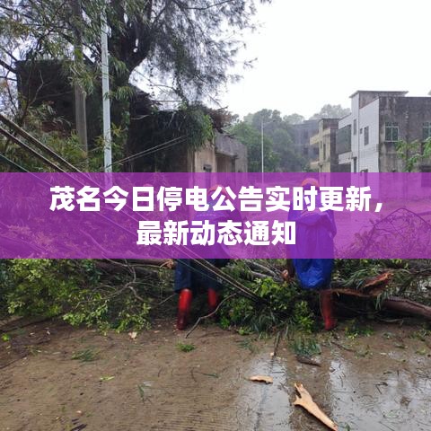 鸟声兽心 第4页