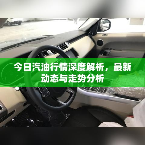 今日汽油行情深度解析，最新动态与走势分析