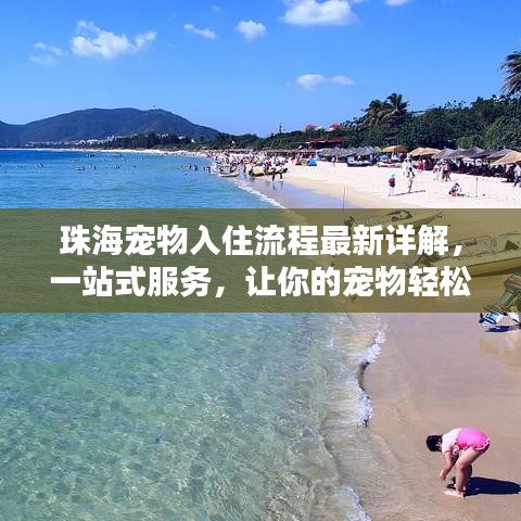 珠海宠物入住流程最新详解,一站式服务,让你的宠物轻松安家!
