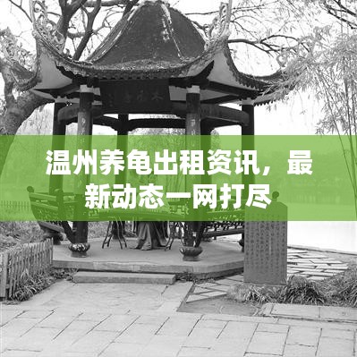 温州养龟出租资讯,最新动态一网打尽