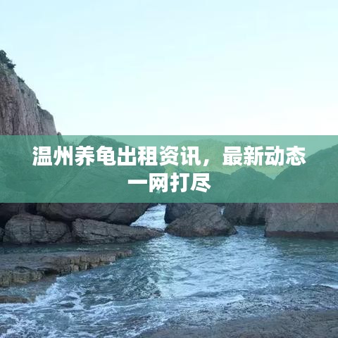 温州养龟出租资讯,最新动态一网打尽