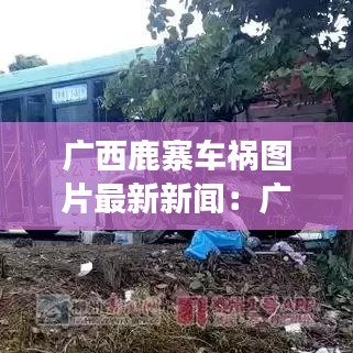 广西鹿寨车祸图片最新新闻：广西鹿寨发展最新消息 