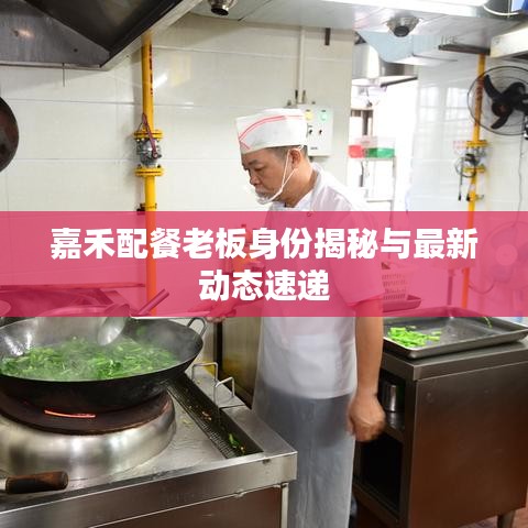 走马观花 第4页