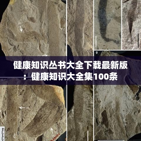 健康知识丛书大全下载最新版：健康知识大全集100条 