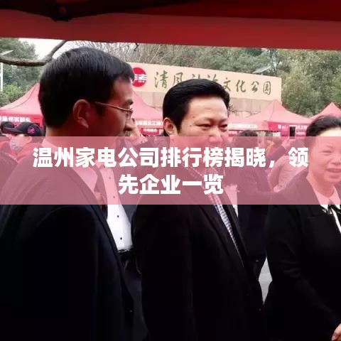 温州家电公司排行榜揭晓,领先企业一览