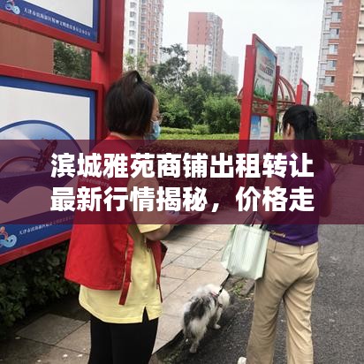 滨城雅苑商铺出租转让最新行情揭秘，价格走势大解析