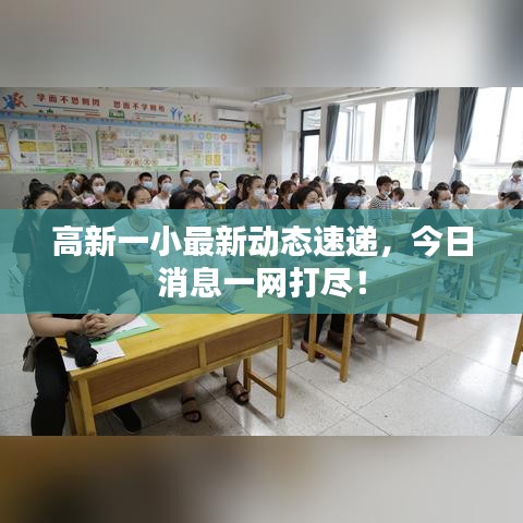 高新一小最新动态速递，今日消息一网打尽！