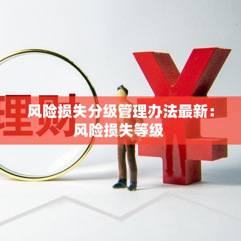 风险损失分级管理办法最新：风险损失等级 