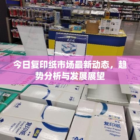 今日复印纸市场最新动态，趋势分析与发展展望