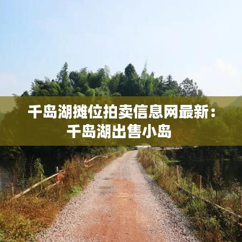 千岛湖摊位拍卖信息网最新：千岛湖出售小岛 