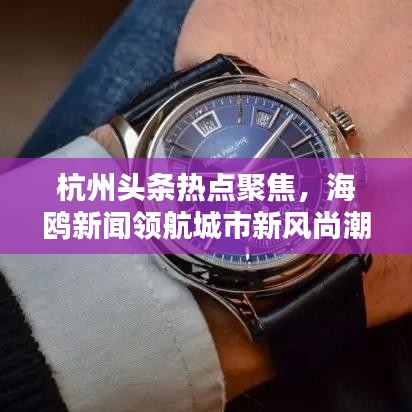 杭州头条热点聚焦,海鸥新闻领航城市新风尚潮流