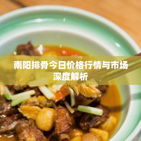 南阳排骨今日价格行情与市场深度解析