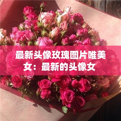 最新头像玫瑰图片唯美女:最新的头像女