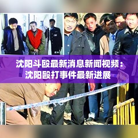 沈阳斗殴最新消息新闻视频：沈阳殴打事件最新进展 