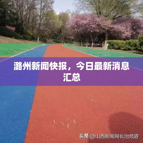 潞州新闻快报,今日最新消息汇总