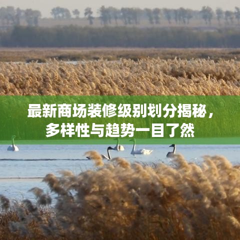 最新商场装修级别划分揭秘，多样性与趋势一目了然