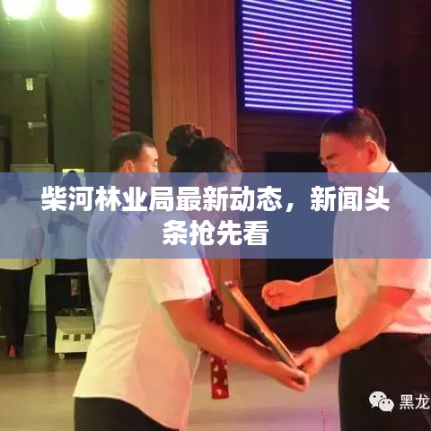柴河林业局最新动态，新闻头条抢先看