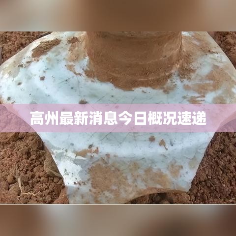 高州最新消息今日概况速递