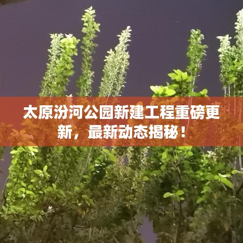 太原汾河公园新建工程重磅更新,最新动态揭秘!