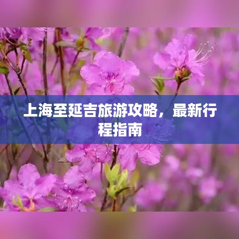 上海至延吉旅游攻略，最新行程指南