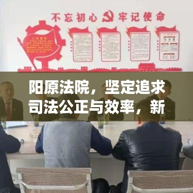 阳原法院，坚定追求司法公正与效率，新闻头条瞩目呈现