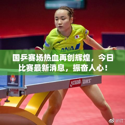 国乒赛场热血再创辉煌，今日比赛最新消息，振奋人心！