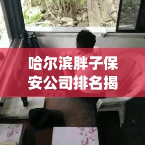 哈尔滨胖子保安公司排名揭秘，行业分析与深度解读
