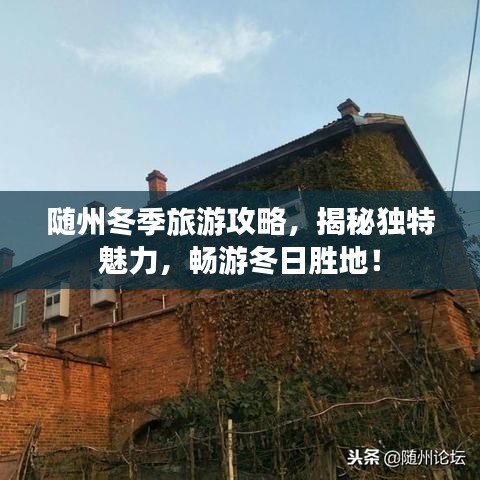 随州冬季旅游攻略，揭秘独特魅力，畅游冬日胜地！