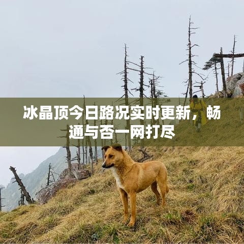 冰晶顶今日路况实时更新,畅通与否一网打尽