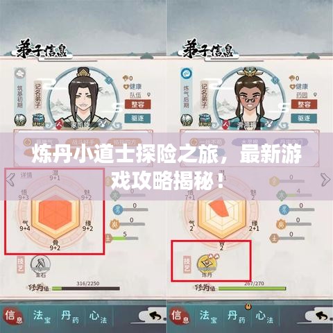 炼丹小道士探险之旅，最新游戏攻略揭秘！